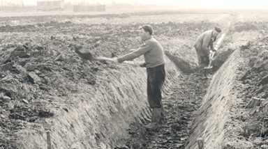 Flevolands Geheugen - arbeiders graven een greppel