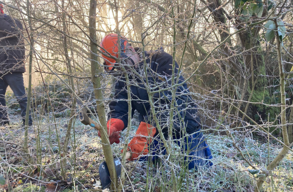 heggenvlechter aan het werk
