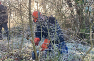heggenvlechter aan het werk